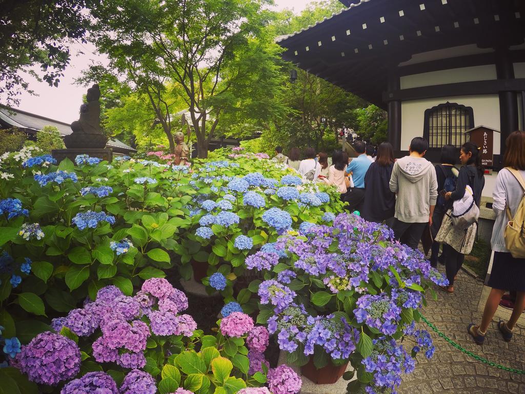 Iza Kamakura Guest House And Bar Екстериор снимка